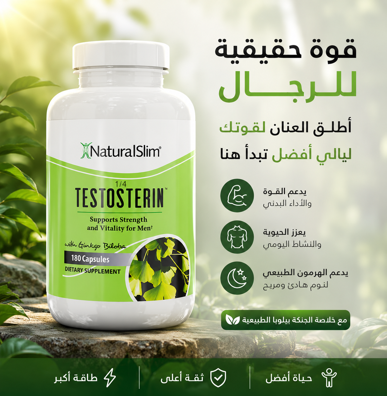 Testosterin™ – دعم متطور لحيوية الرجل والأداء الجنسي