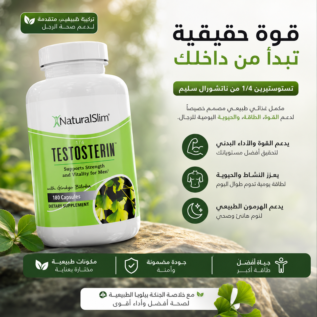 Testosterin™ – دعم متطور لحيوية الرجل والأداء الجنسي
